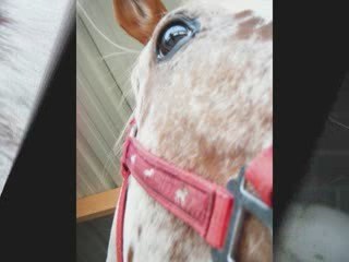 Séance photos de Sulliman