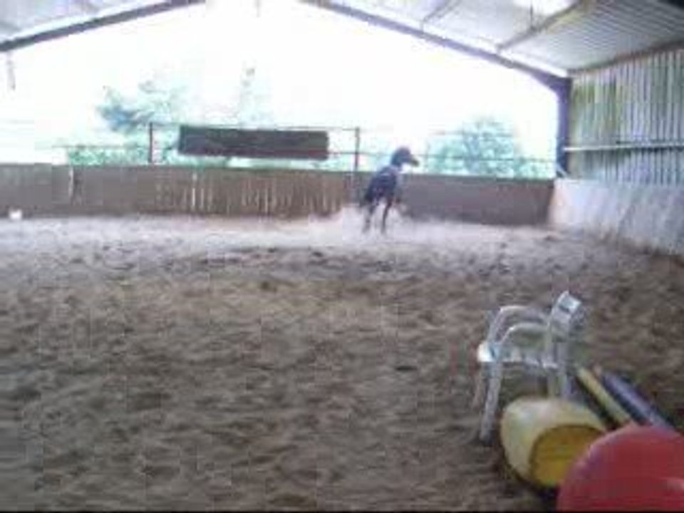 Morgane d'Oriane aux Ecuries du Vieux Chêne