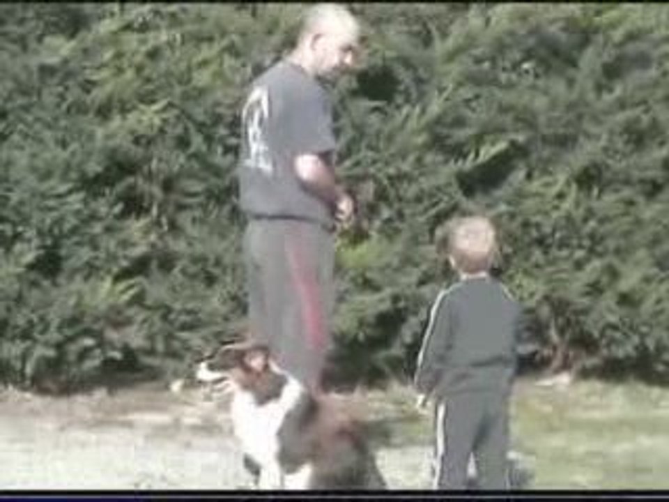 Diva entrainement obeissance 2