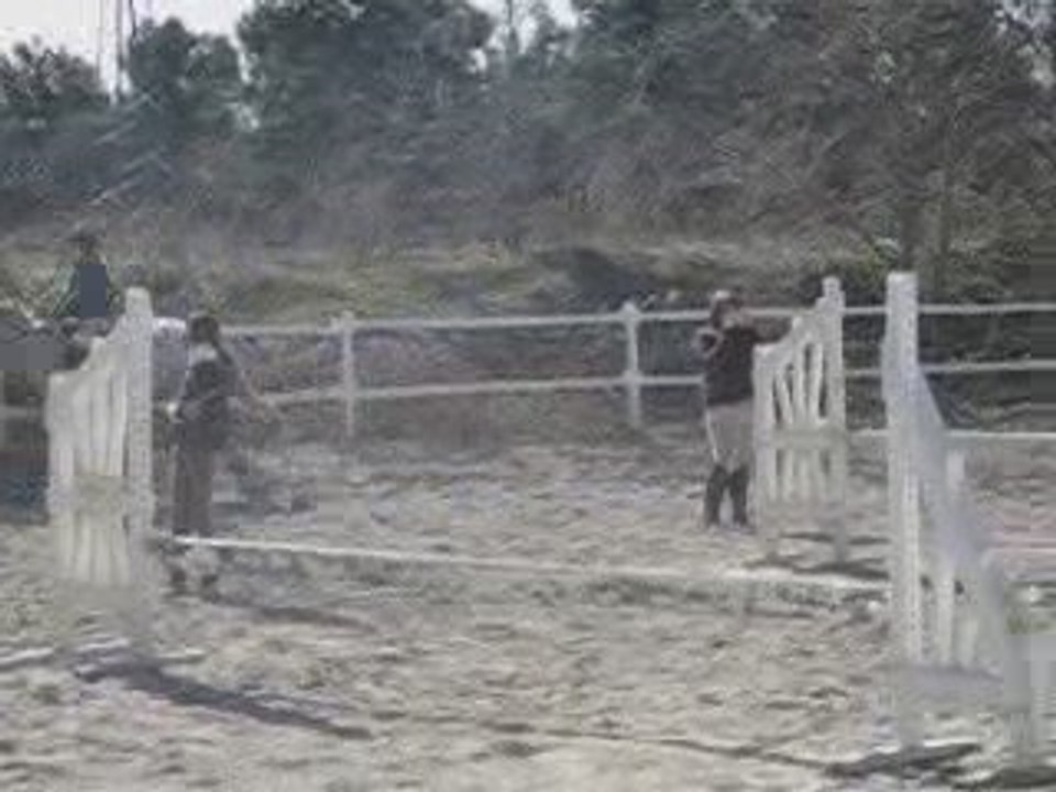 saut de Moi et Samba