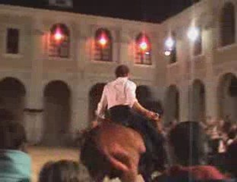 THEATRE DU CENTAURE - FLUX - 1 - spectacle équestre