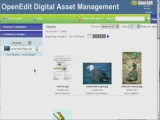 Digital Asset Management
