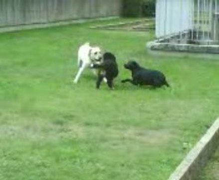 Eika RAS : 20091007 Apollon et Electra