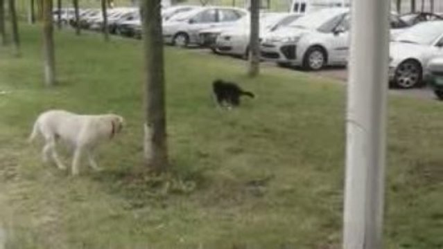 Eika RAS : 20090928 and Cie