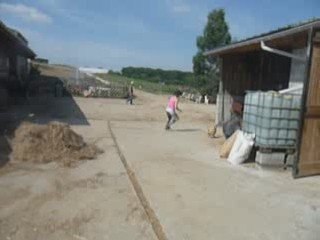 A la chasse aux poules ! (Charlotte)