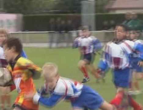 MMXV - 2009-10-10 Jeunes pousses et poussins
