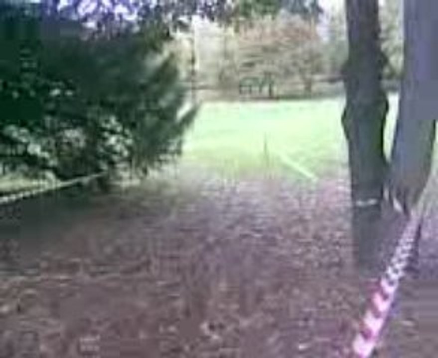 Cyclo Cross Ternay cadets