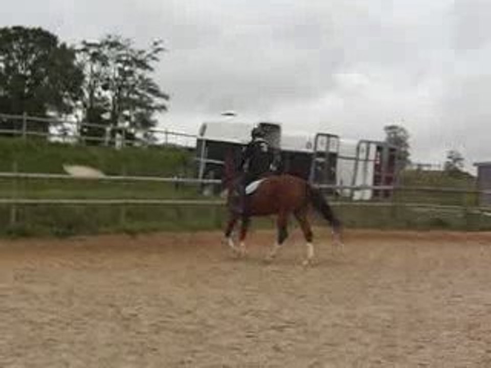 CIMG2669