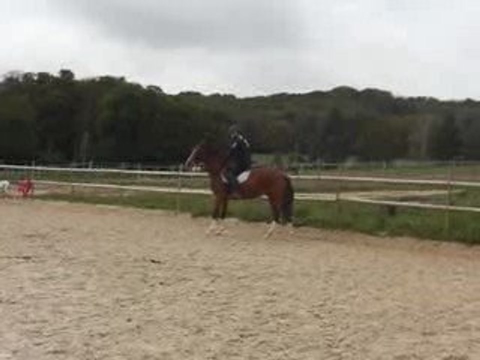 CIMG2670