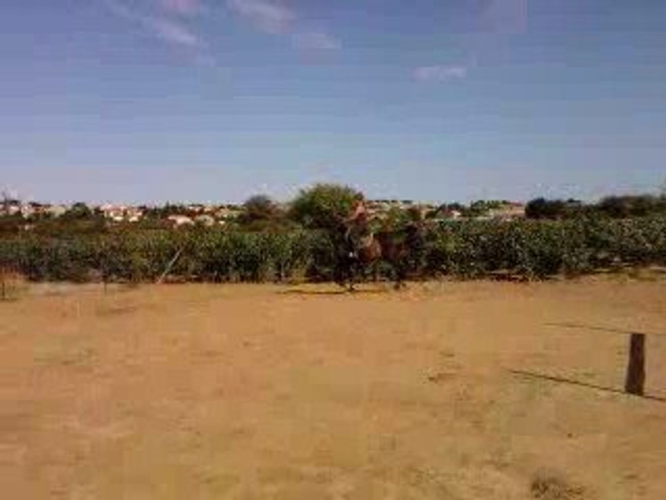 Vidéo0023