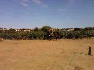 Vidéo0023