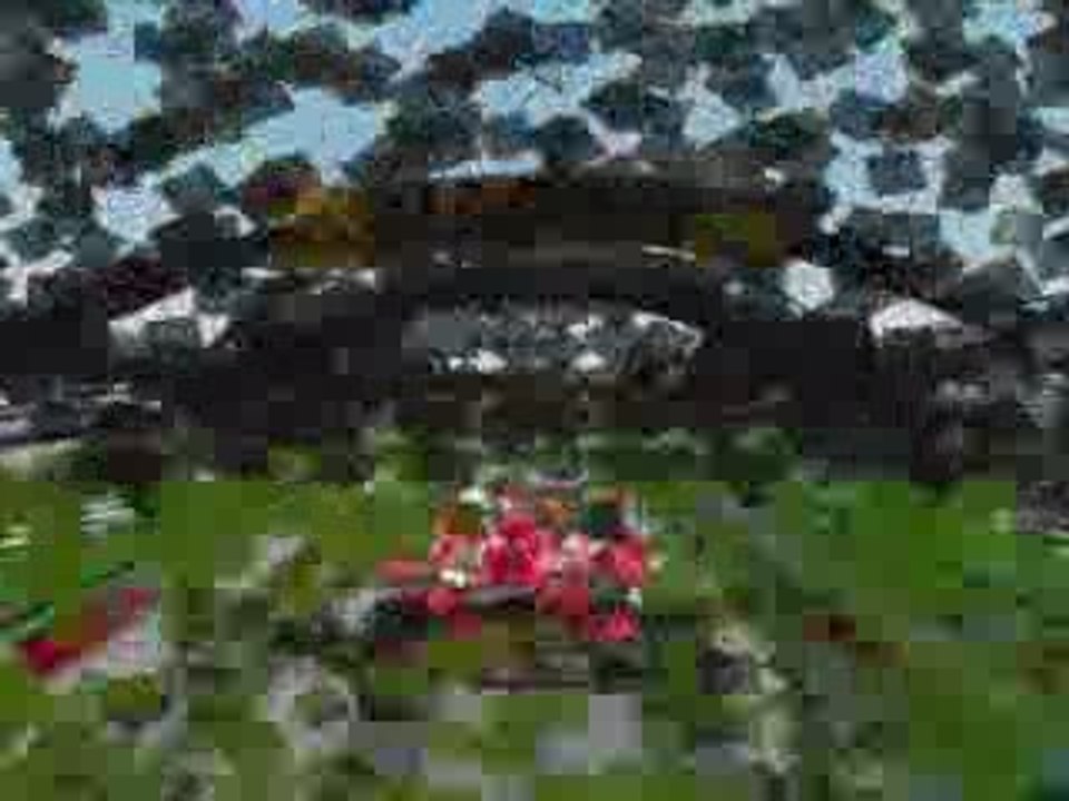 TrackMania YAnnEX