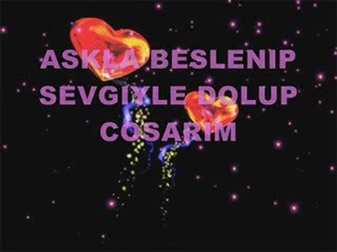 BERRIN TOPCU SIIRLERI