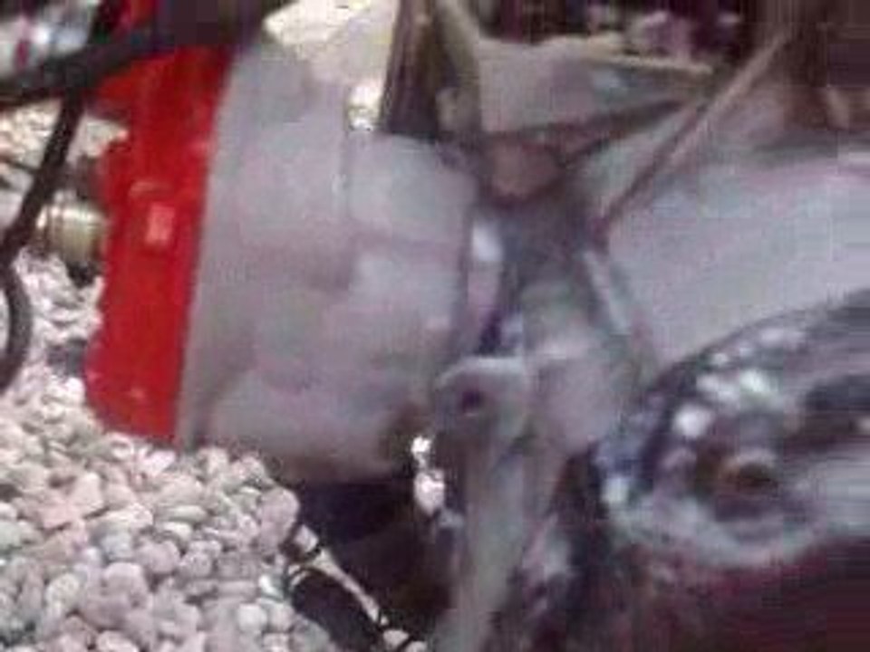 ovetto manston révolution; pot maison etc