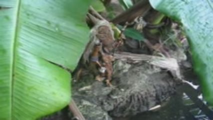 MATE 2009  de bocas  11oct09