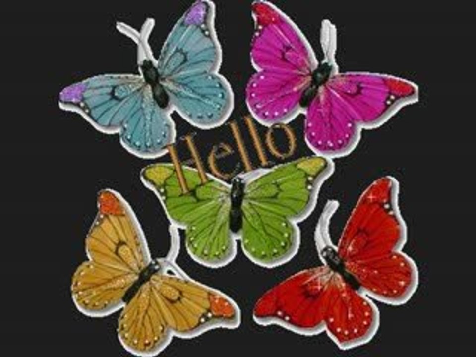 Un petit papillon qui  passe ici