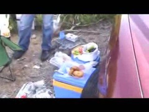 Türk Balık Avı 2.Kıyı Organizasyonu 3.Bölüm