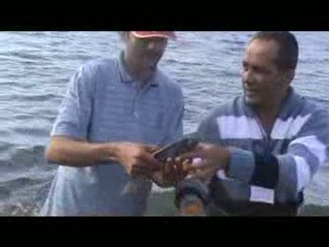 Türk Balık Avı 2.Kıyı Organizasyonu 4.Bölüm