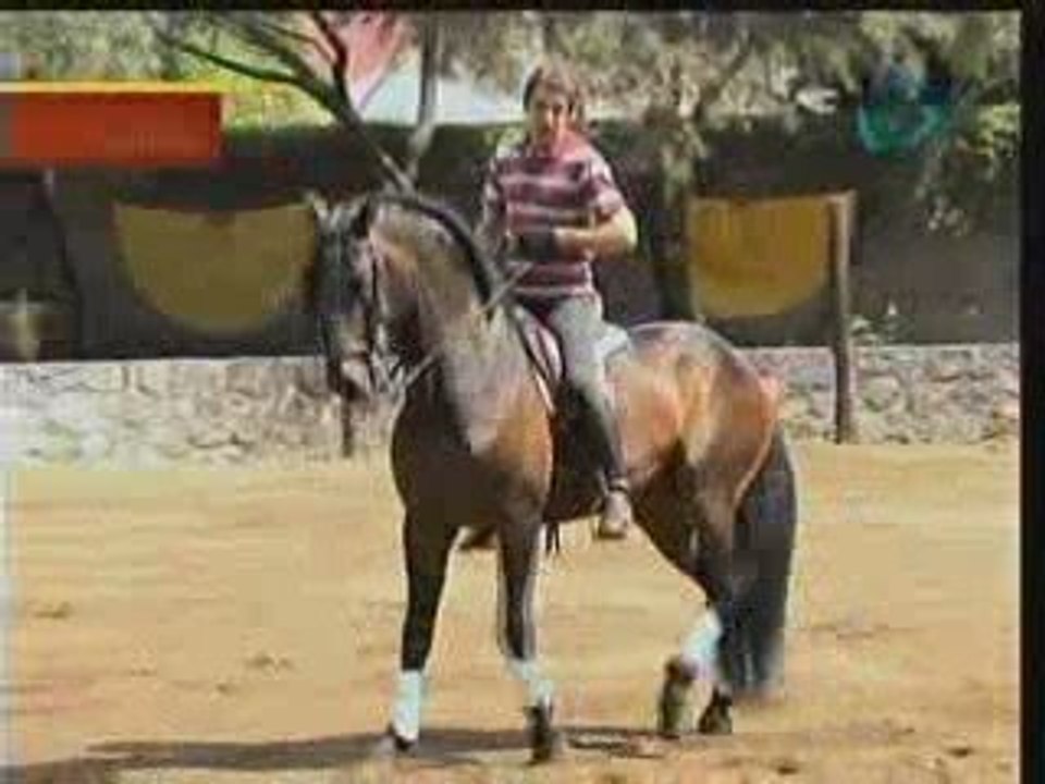Pablo Hermoso de Mendoza la revolucíon a caballo I