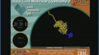 Lutte contre la dystrophie musculaire - phase 2 (WCG)