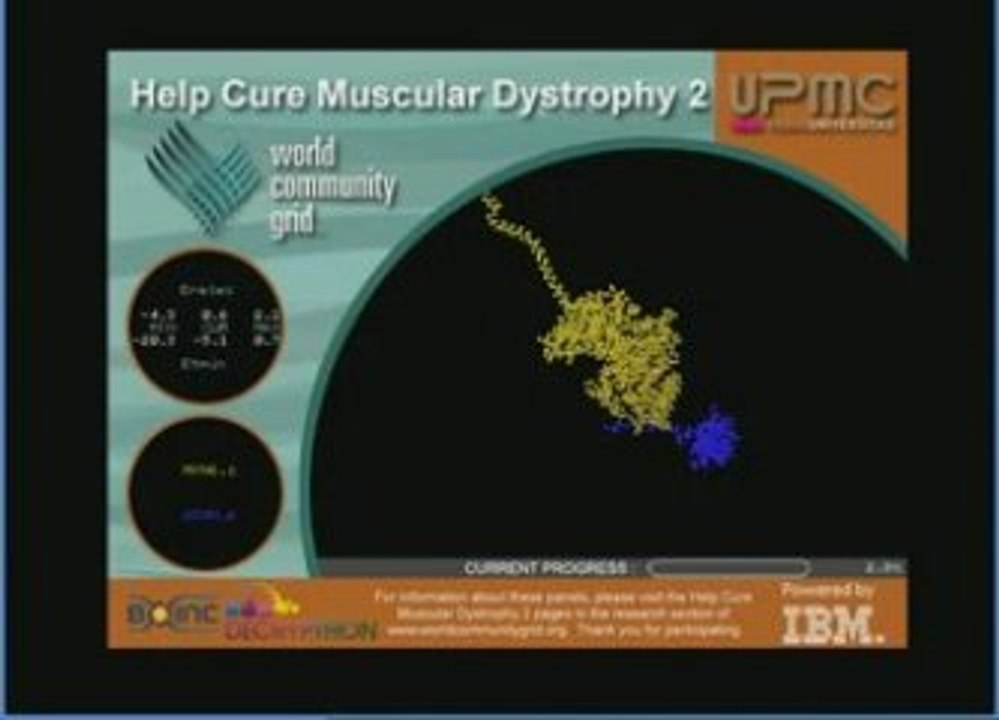 Lutte contre la dystrophie musculaire - phase 2 (WCG)