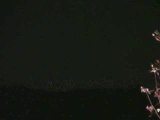 Triangle UFOs Seen by Many 25/09/2009 at Murrysville part 2