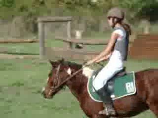 Cross ac Albi ( Ecuris D'ines )