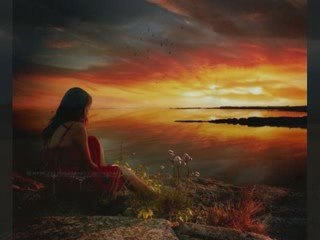 jedyne co mam to zludzenia-czerwony tulipan