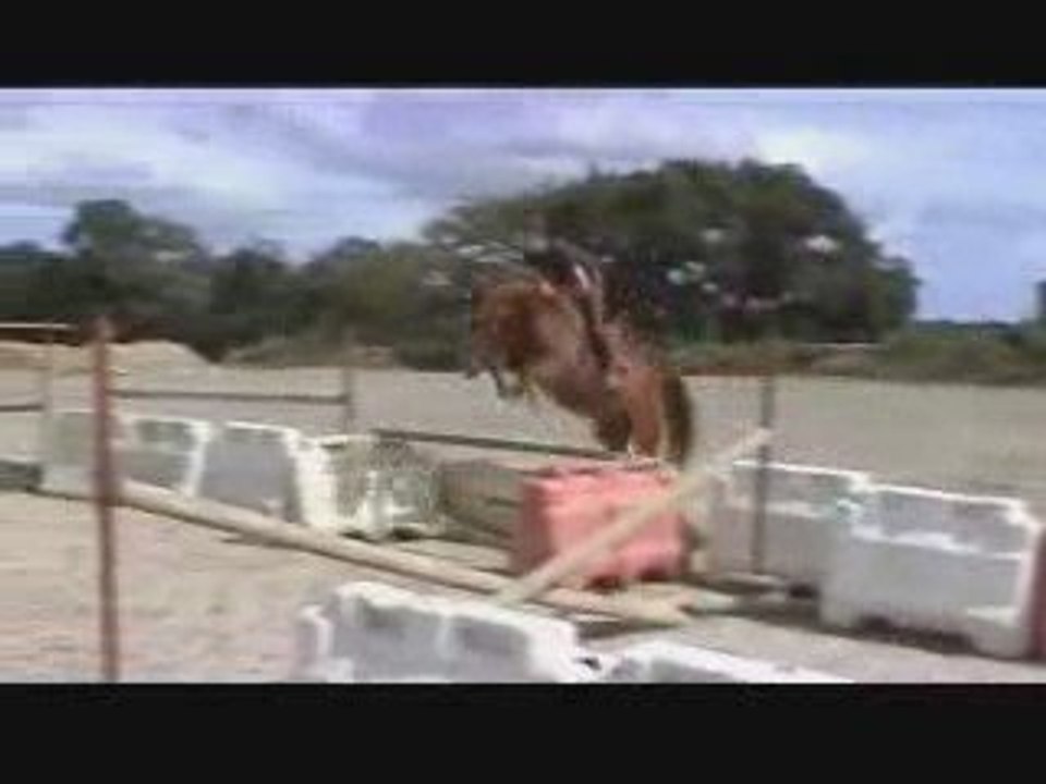 Ecurie du Nevez Qibondi