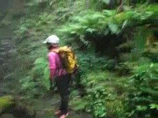 Sawanobori