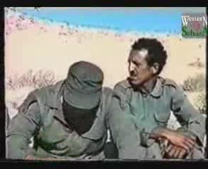 Amgala II (1976): 1/2