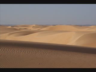 A horse with no name - America (cover)