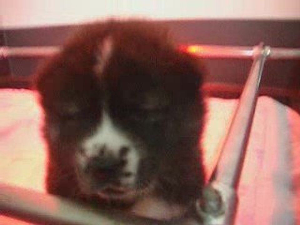 Eiko_Daisuki_1ere_rencontre01