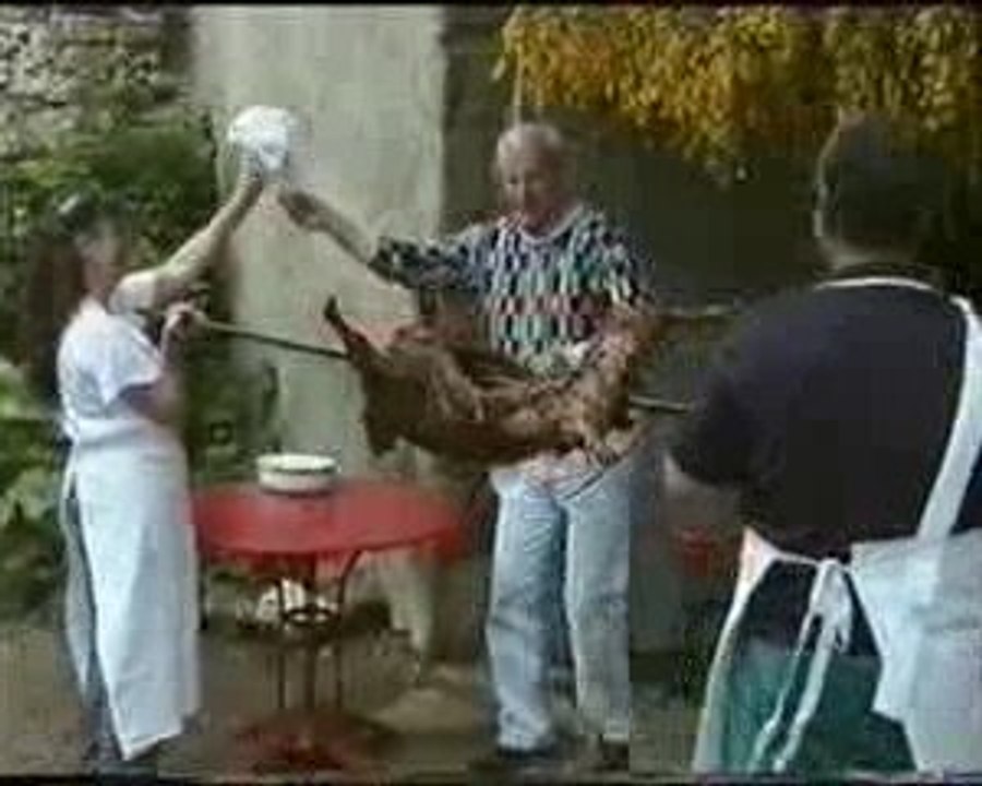 1993 St.Agoulin
