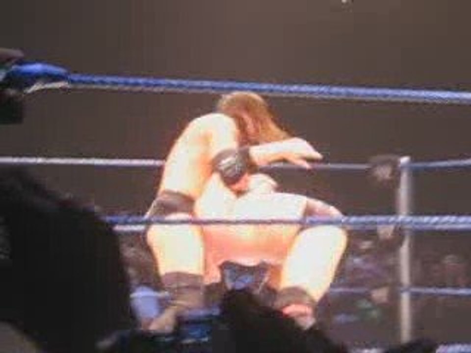 Pedigree