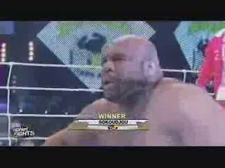 Sokoudjou vs. Bob Sapp - Fight Video - Super Hulk - Dream 11