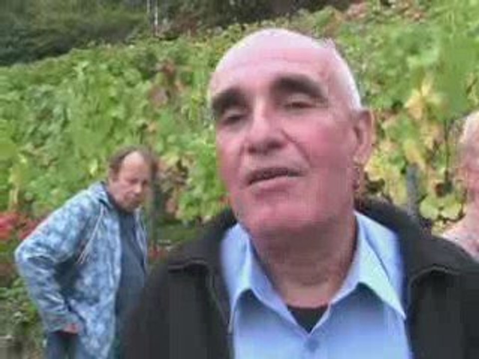 L'oenologue des vignes de Montmartre