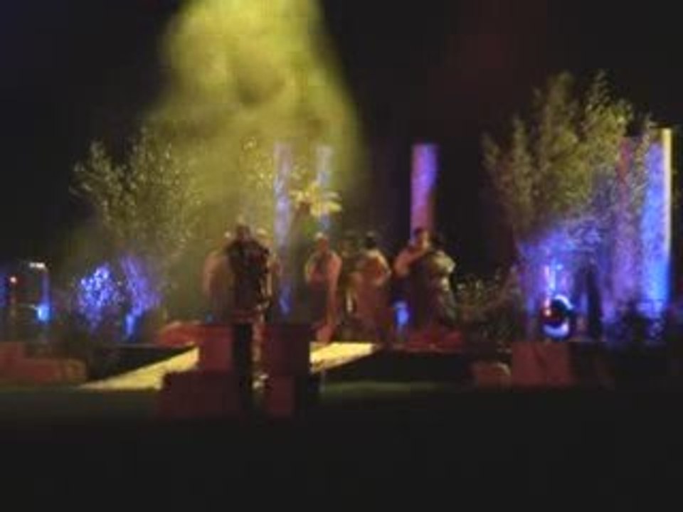 Crèche Vivante  (2008)