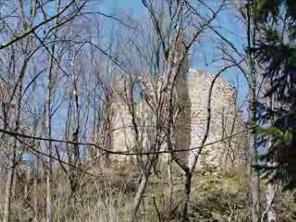 Châteaux d'Alsace volume 7