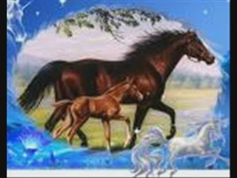 Montage Sur Les Chevaux