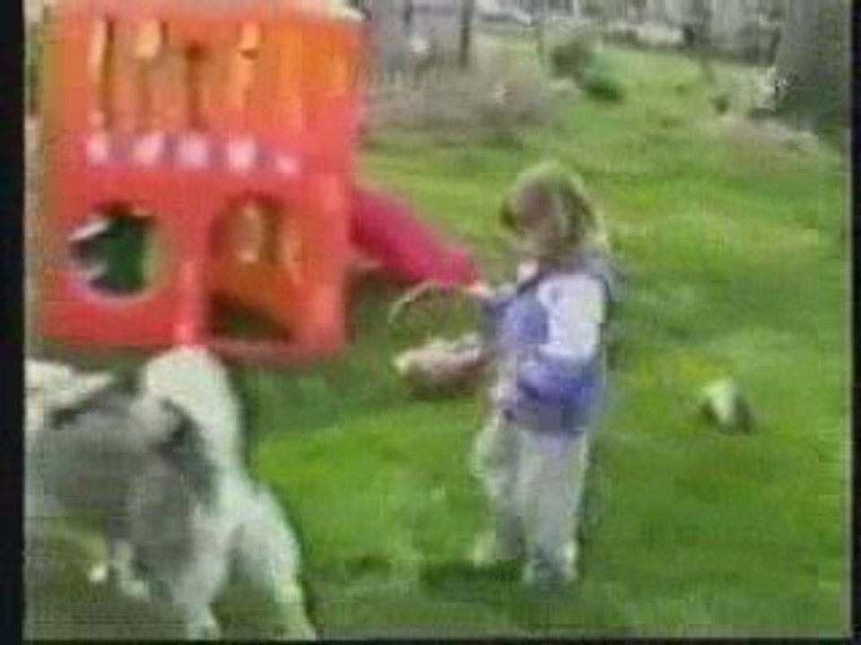 Release_the_hounds