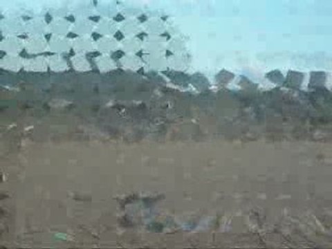 Rapido 1ère séance obstacle