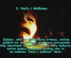 NEFİS VE NEFSİN DERECELERİ