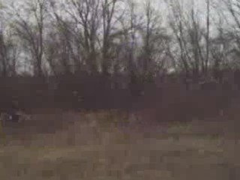 jo en cross