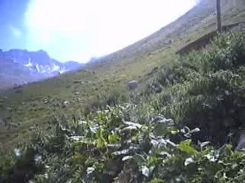 tulum hüseyin Reyhan Solistler Sebahat Reyhan