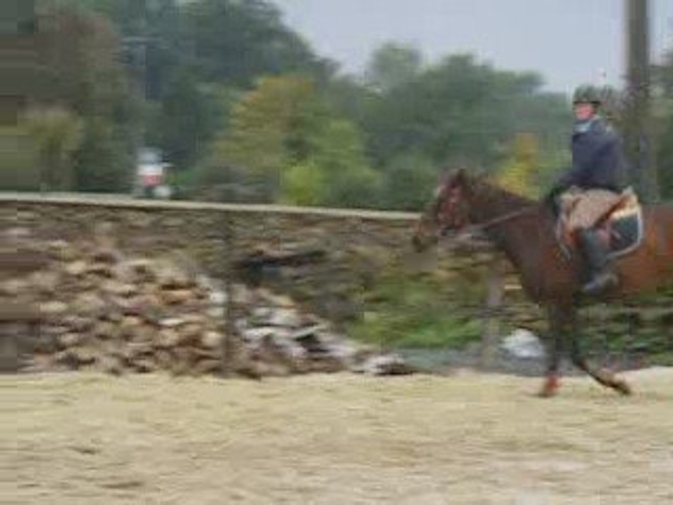 Cours viriginie samedi 10/10/09