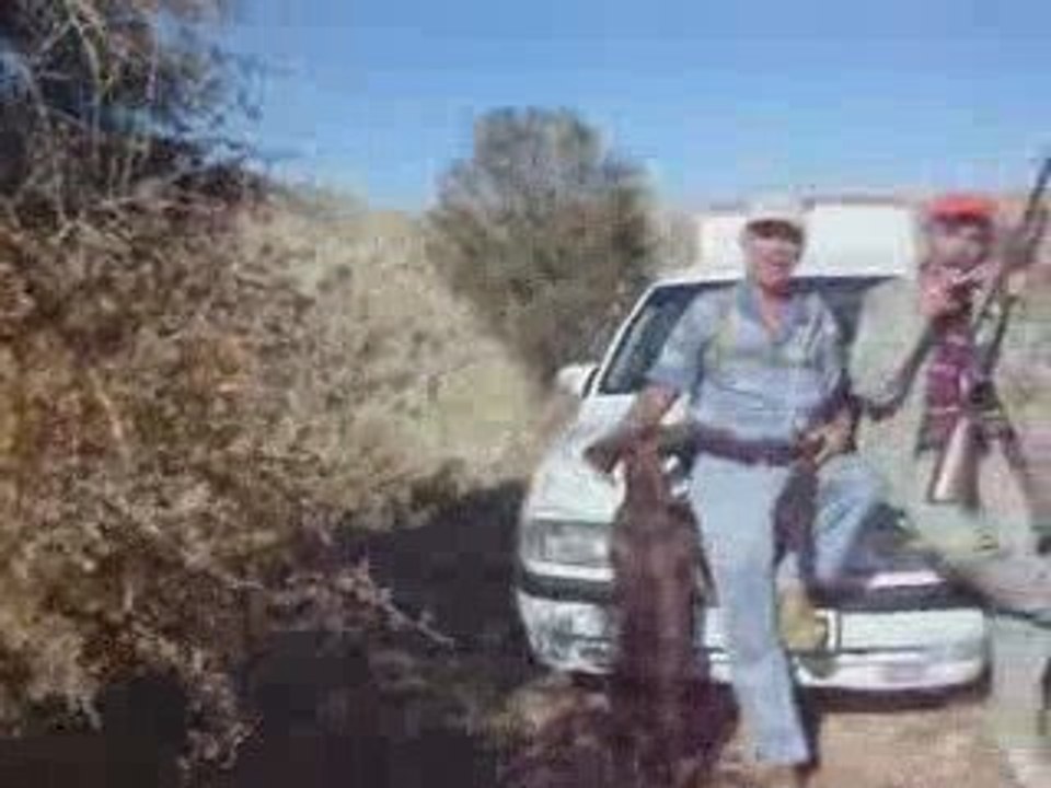 adana postası malatya keklik avı