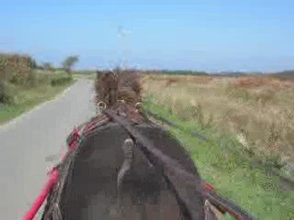 Balade avec tornado