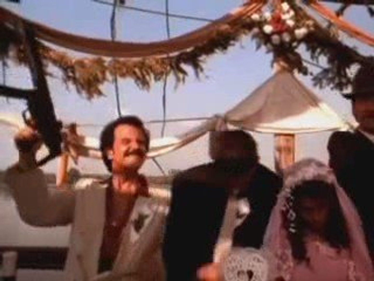 ⁣Black Cat & White Cat