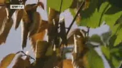 Tomorrow Today | forensic pathologist Michael Tsokos